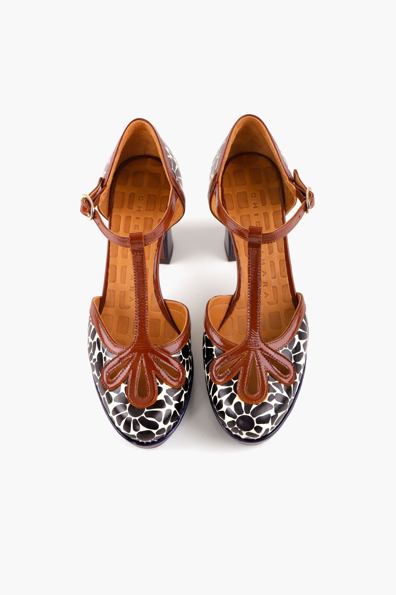 Zapato Damelia