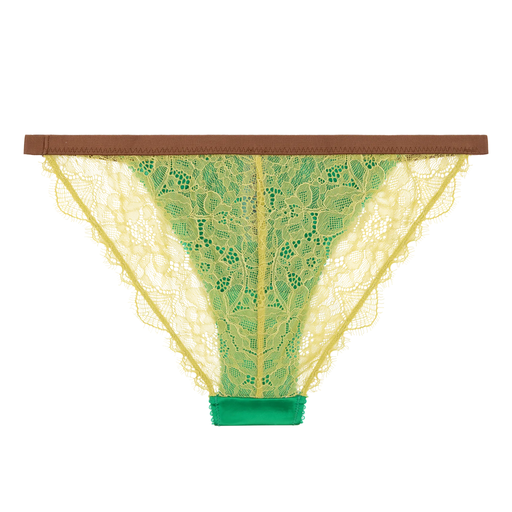 Cuecas WILD ROSE-SS2_