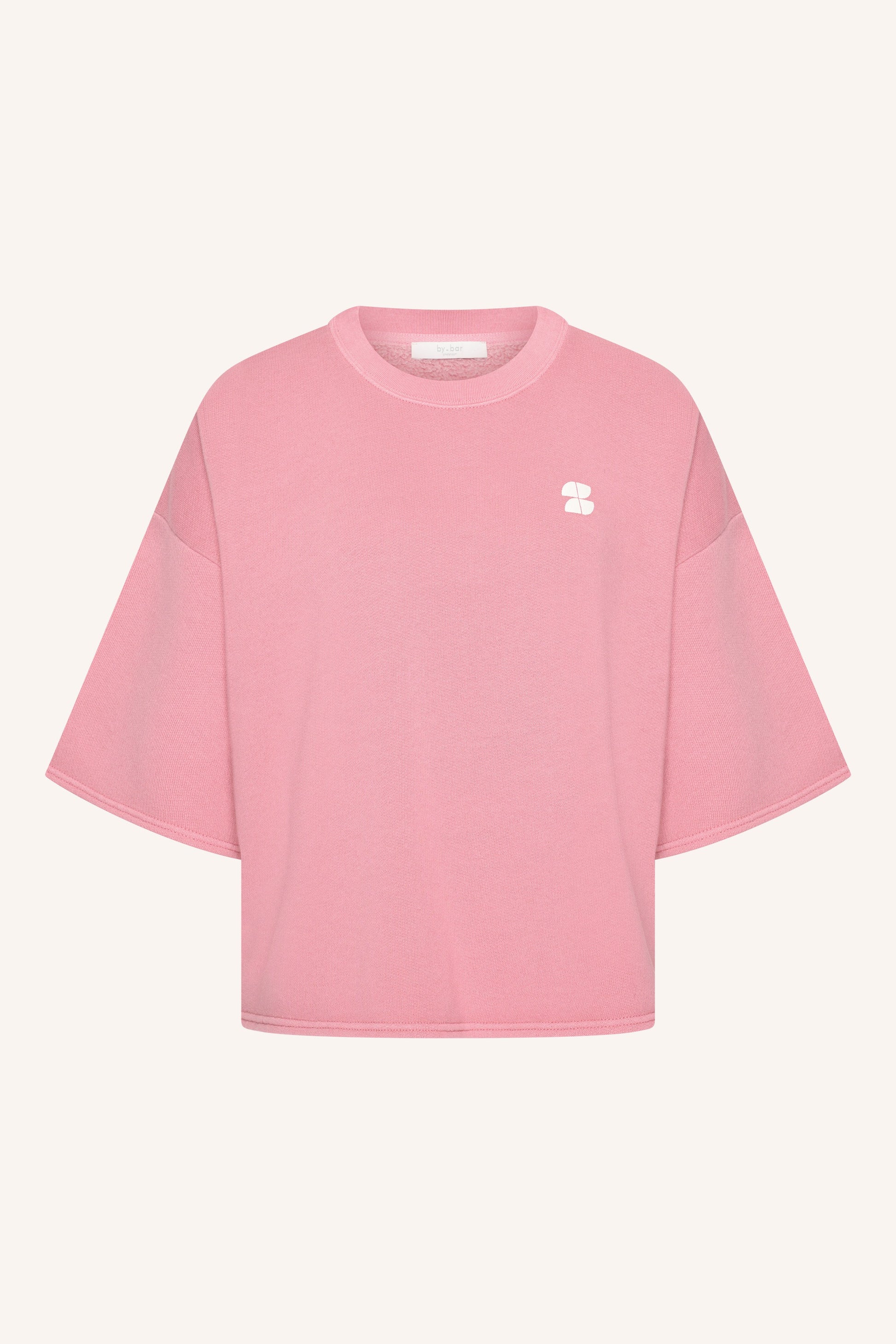 Top Willow Dictionary Rosa Empolvado